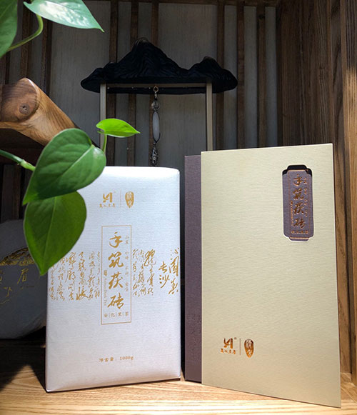 案例展示3